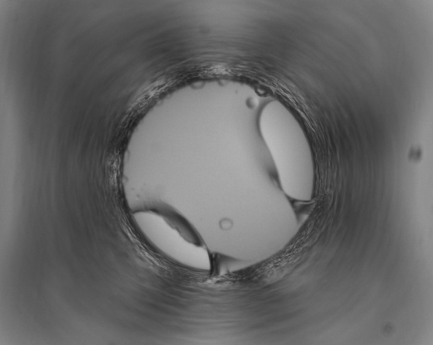 X0000094810423200712141626