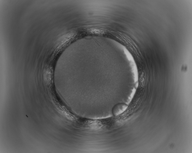 X0000094810424200712141626