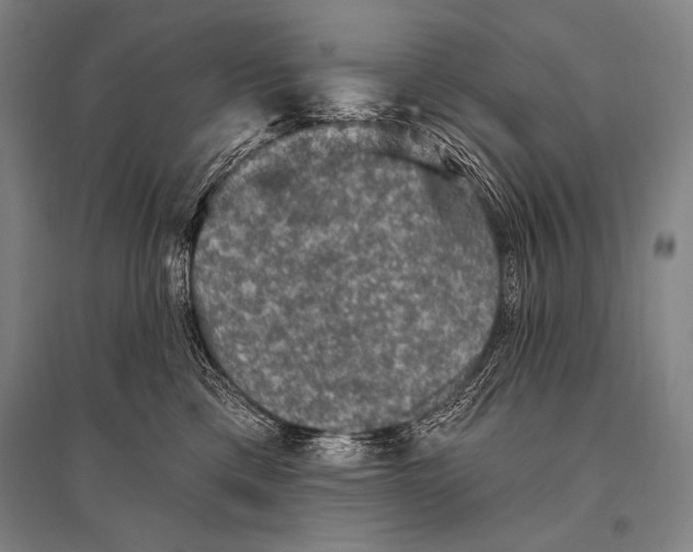 X0000094810425200712141626