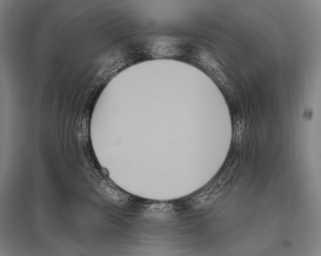 X0000094810426200712141626