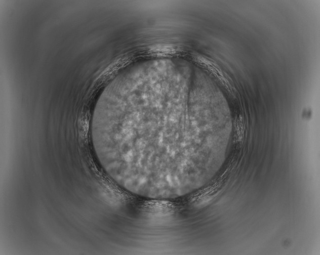 X0000094810427200712141626