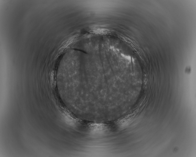 X0000094810428200712141626