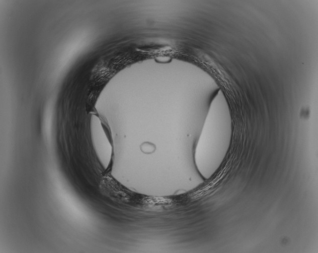 X0000094810429200712141626