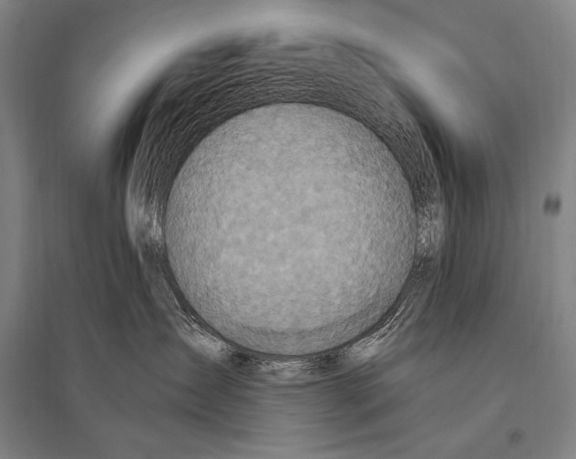 X0000094810431200712141626