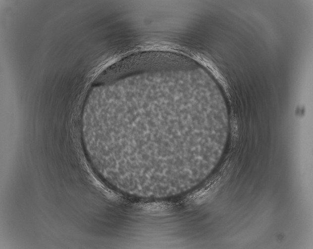 X0000094810433200712141626