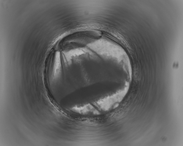 X0000094810434200712141626