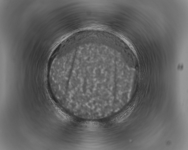 X0000094810437200712141626