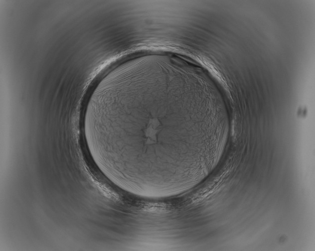 X0000094810438200712141626