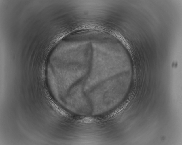 X0000094810441200712141626