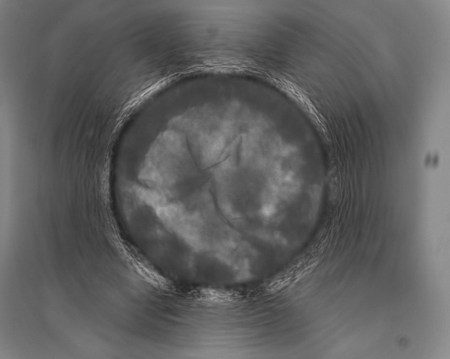 X0000094810442200712141626