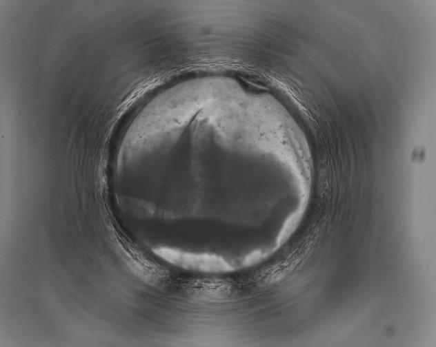 X0000094810443200712141626