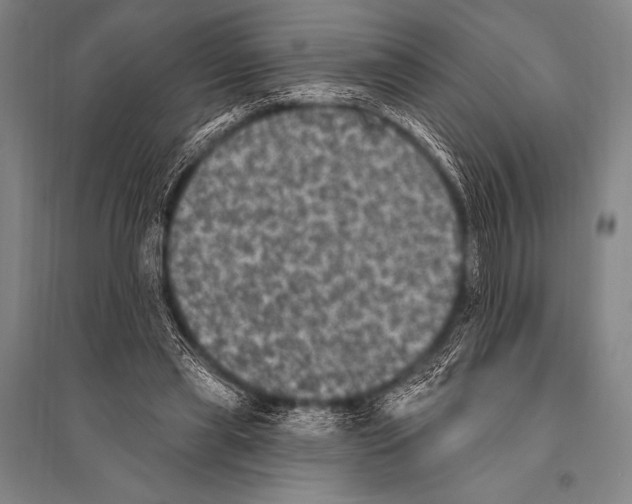 X0000094810445200712141626