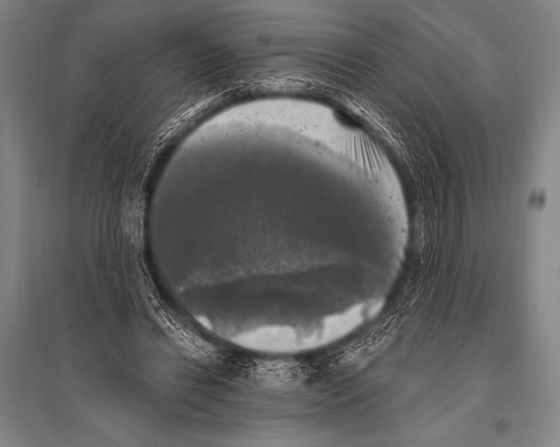 X0000094810446200712141626