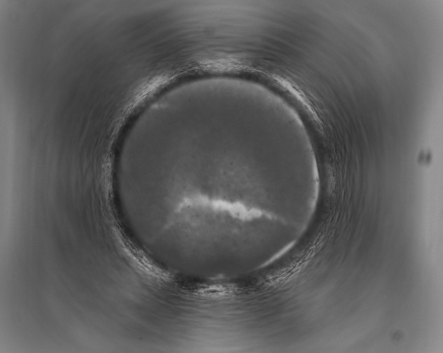 X0000094810447200712141626