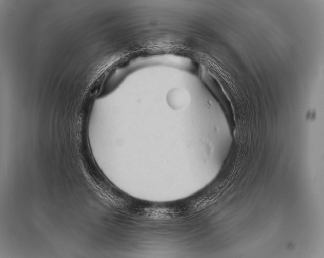 X0000094810448200712141626