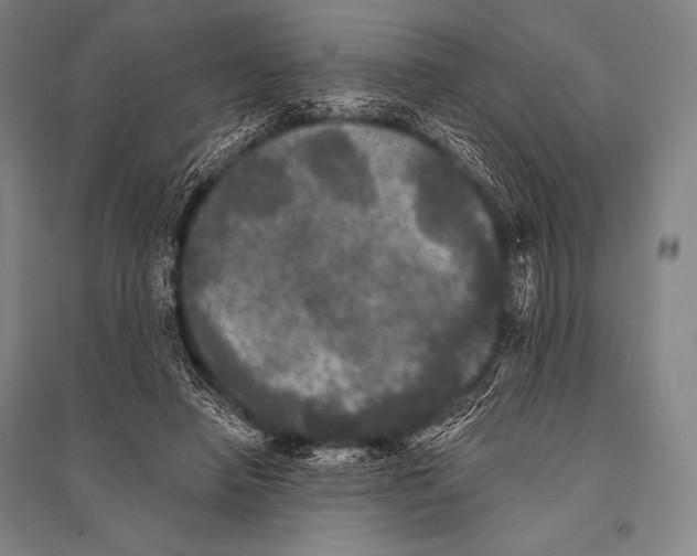 X0000094810450200712141626