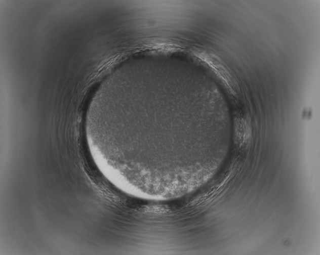 X0000094810451200712141626