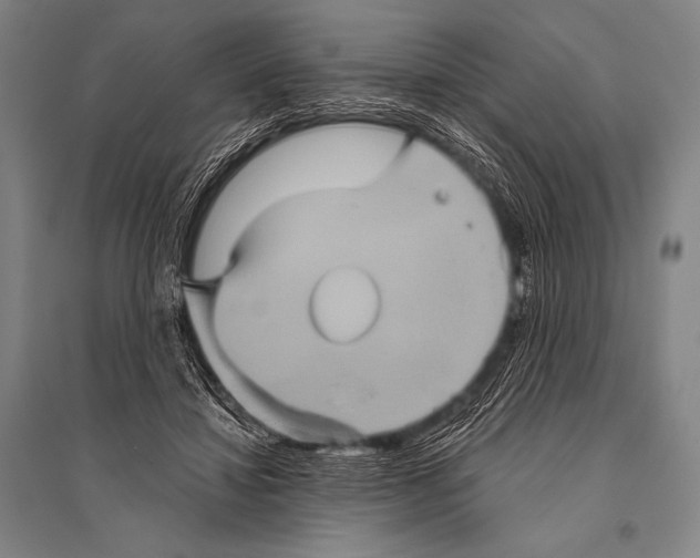 X0000094810452200712141626