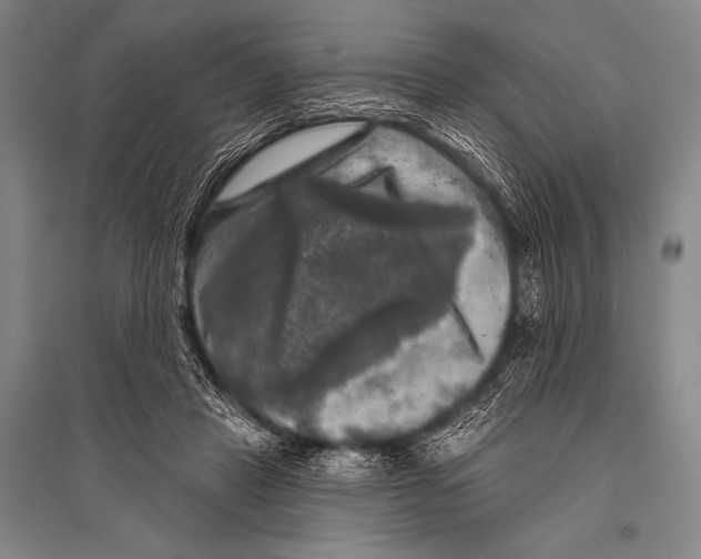 X0000094810453200712141626