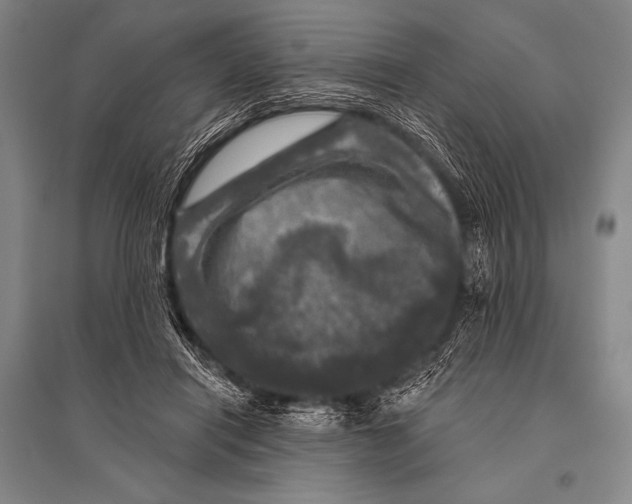 X0000094810454200712141626