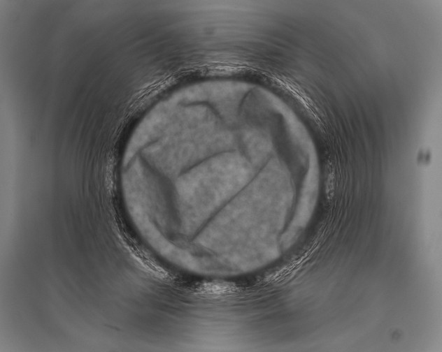 X0000094810455200712141626