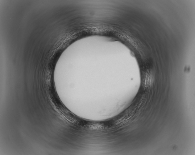 X0000094810456200712141626