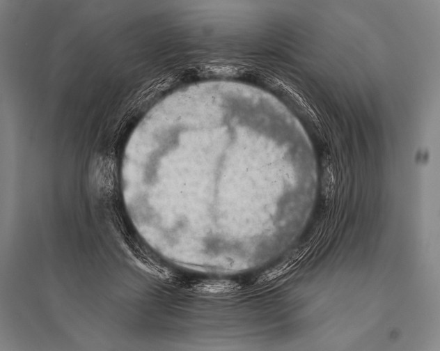 X0000094810459200712141626