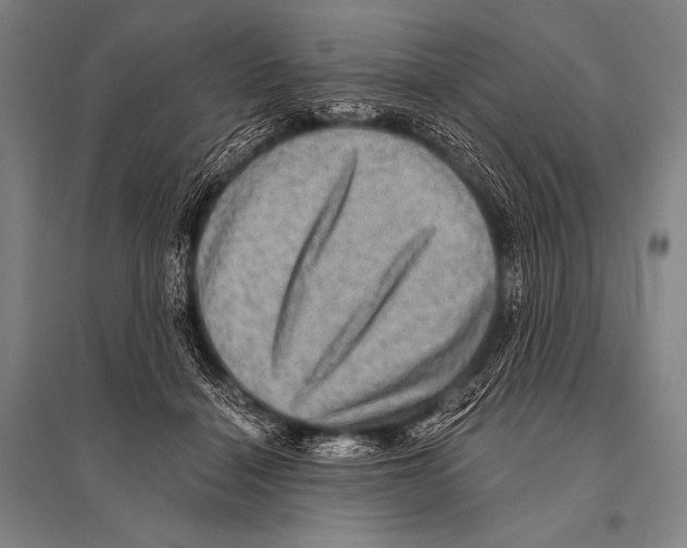 X0000094810460200712141626