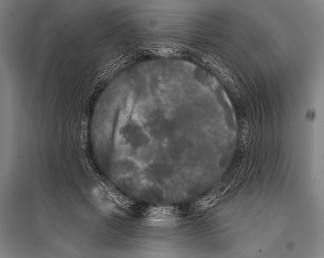 X0000094810461200712141626