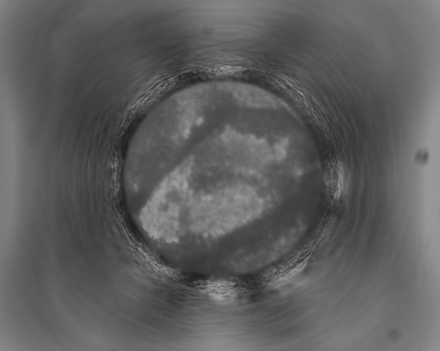 X0000094810462200712141626