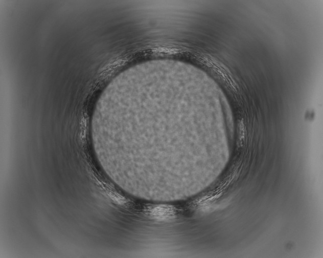 X0000094810463200712141626