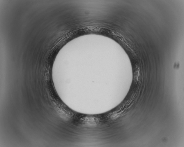 X0000094810464200712141626