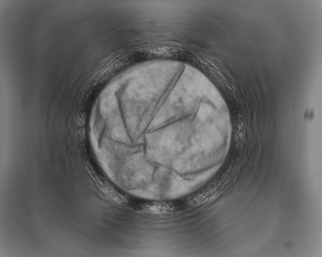 X0000094810466200712141626