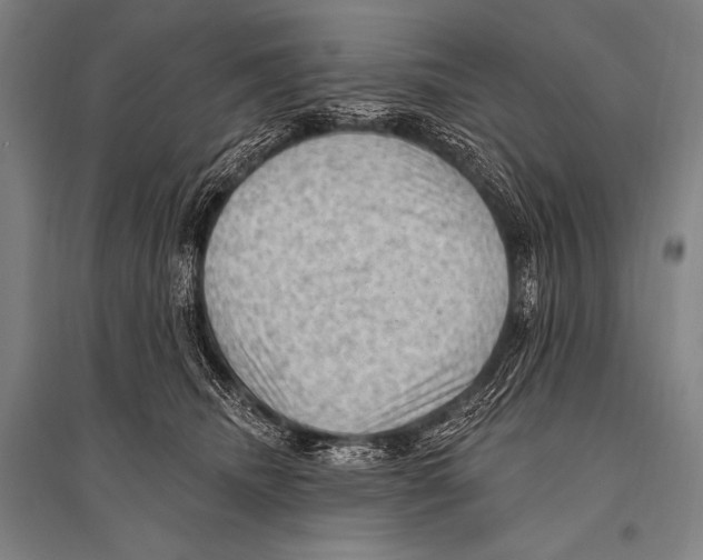 X0000094810468200712141626