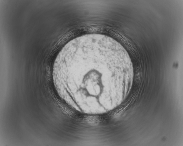 X0000094810469200712141626