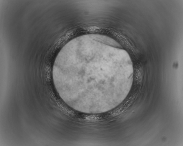 X0000094810470200712141626