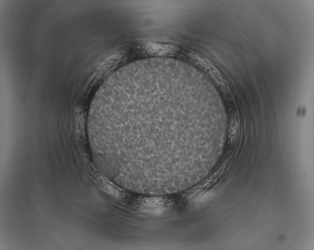 X0000094810473200712141626