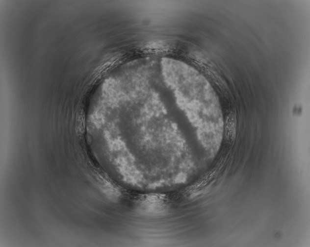 X0000094810474200712141626