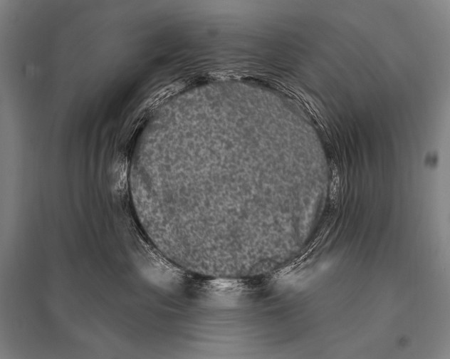 X0000094810477200712141626