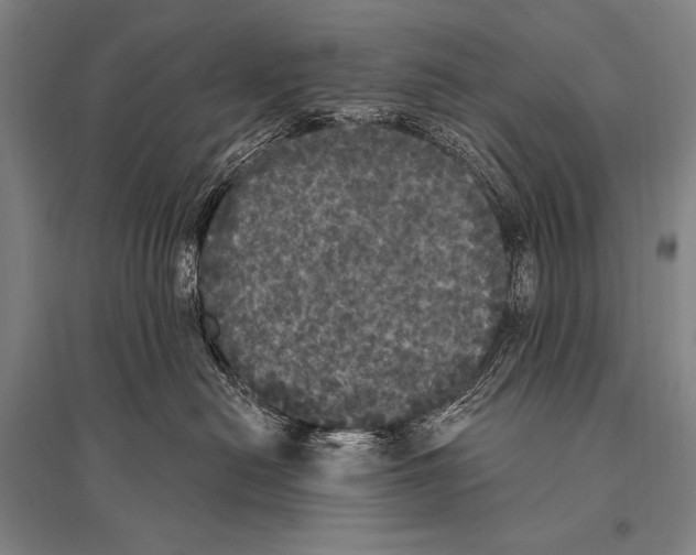 X0000094810478200712141626