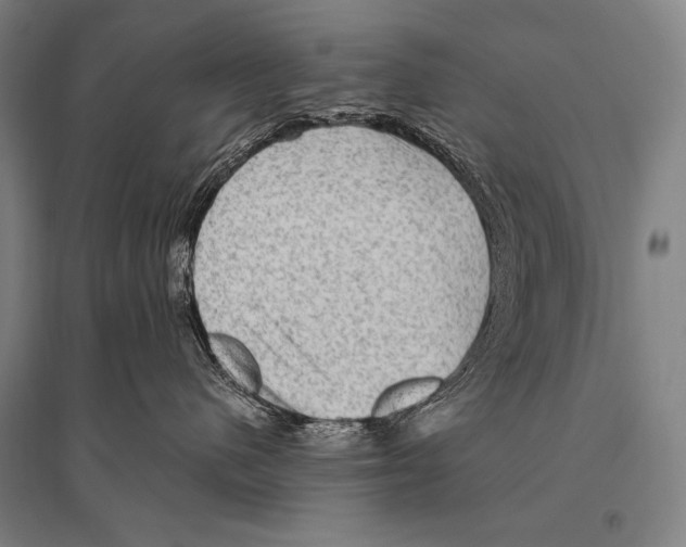 X0000094810480200712141626