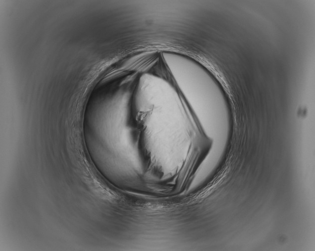 X0000094810481200712141626