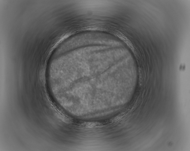 X0000094810482200712141626