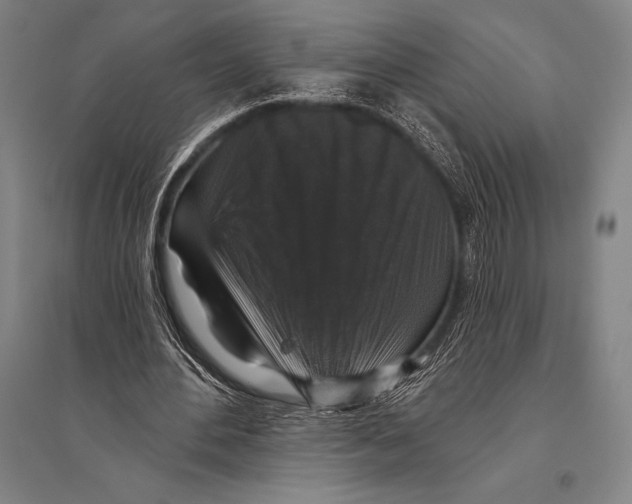 X0000094810484200712141625