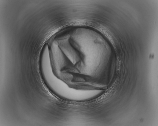 X0000094810485200712141625