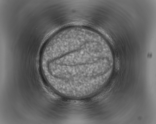 X0000094810486200712141625