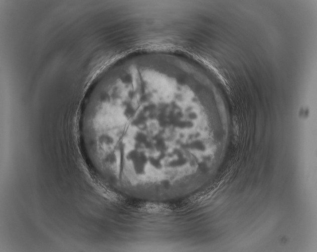 X0000094810487200712141625