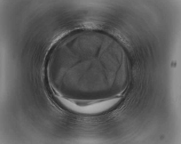 X0000094810488200712141625