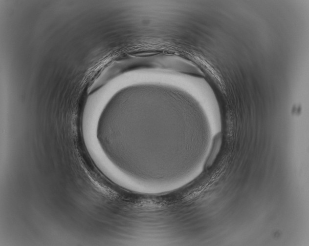 X0000094810489200712141625