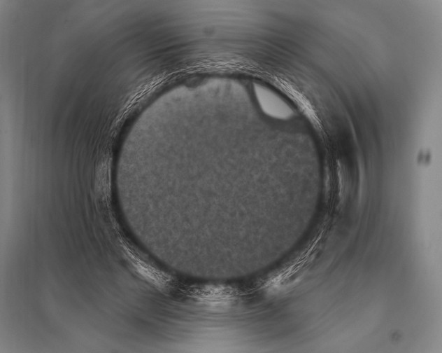 X0000094810493200712141625